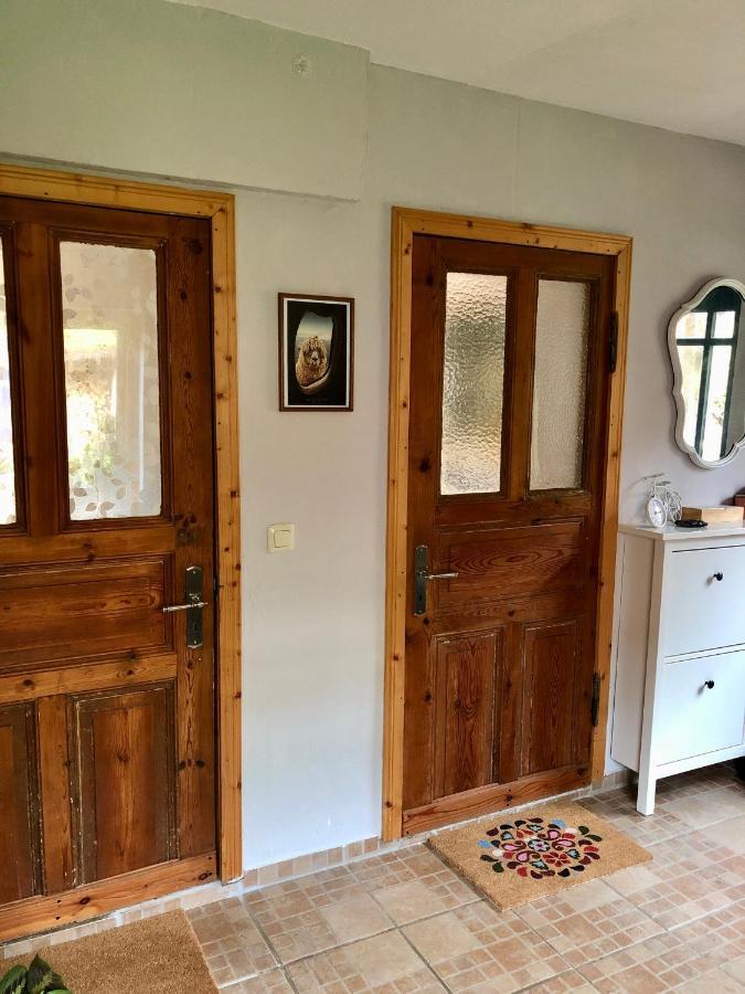 Gemuetliches Studio-Apartment In Ostseenaehe - Cosy Wulfi Probsteierhagen المظهر الخارجي الصورة