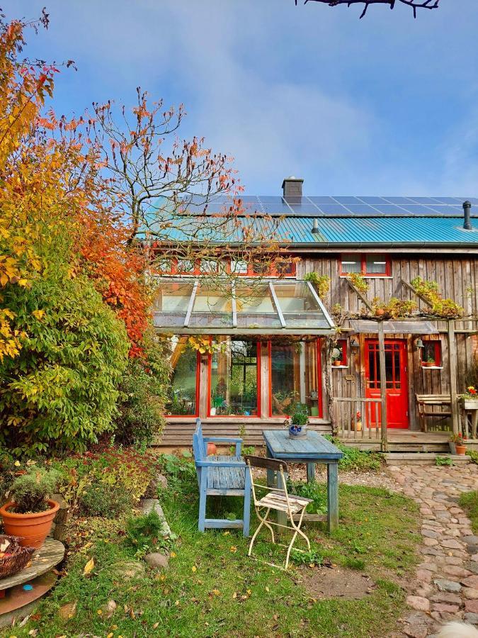 Gemuetliches Studio-Apartment In Ostseenaehe - Cosy Wulfi Probsteierhagen المظهر الخارجي الصورة